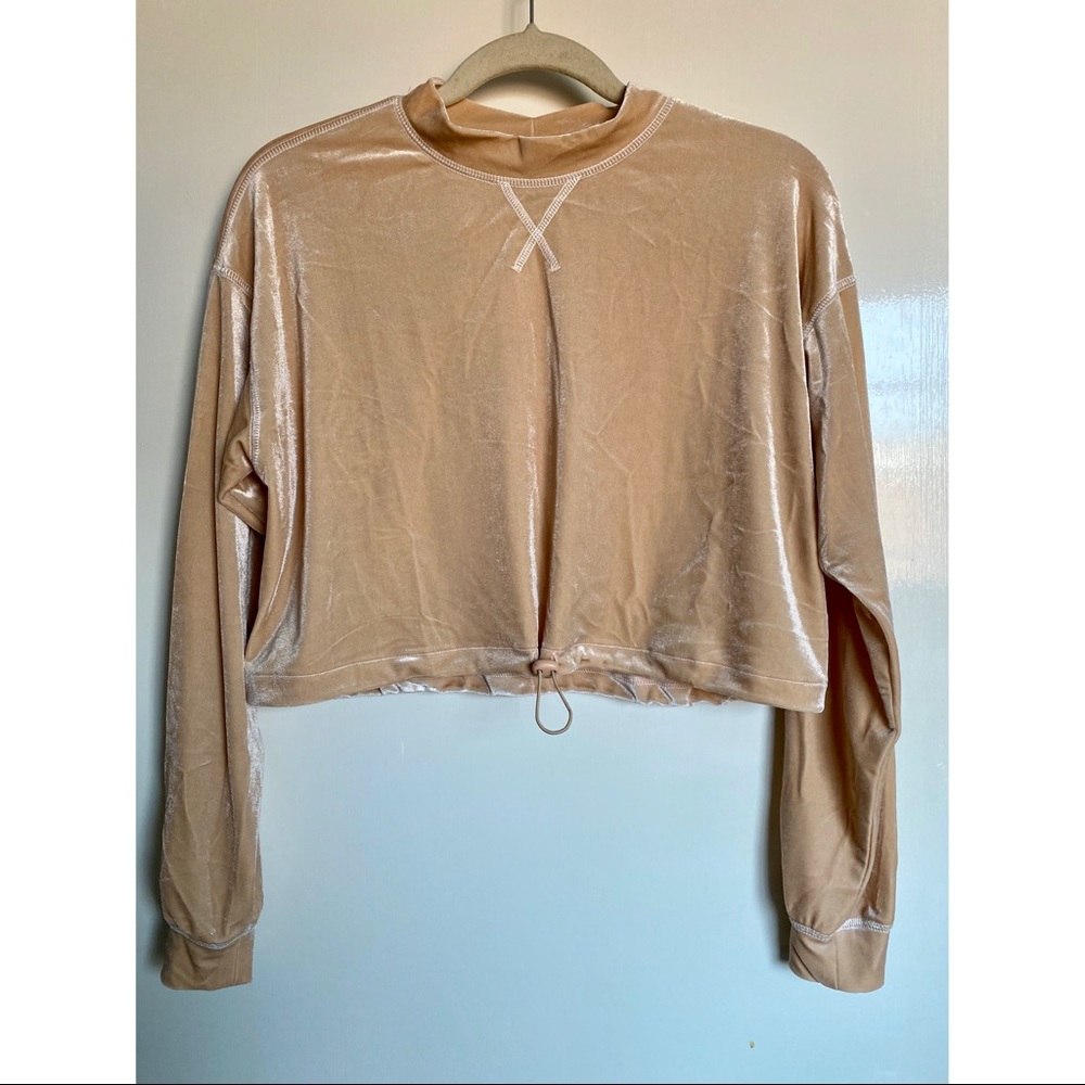 Beige Velvet Mockneck Crop Sweater/Long-sleeve Top